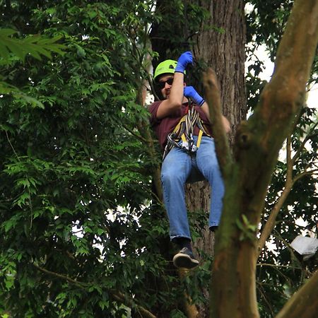 Bosque De Aventura & Glamping Refugio Del Bosque Hotell La Mesa  Eksteriør bilde