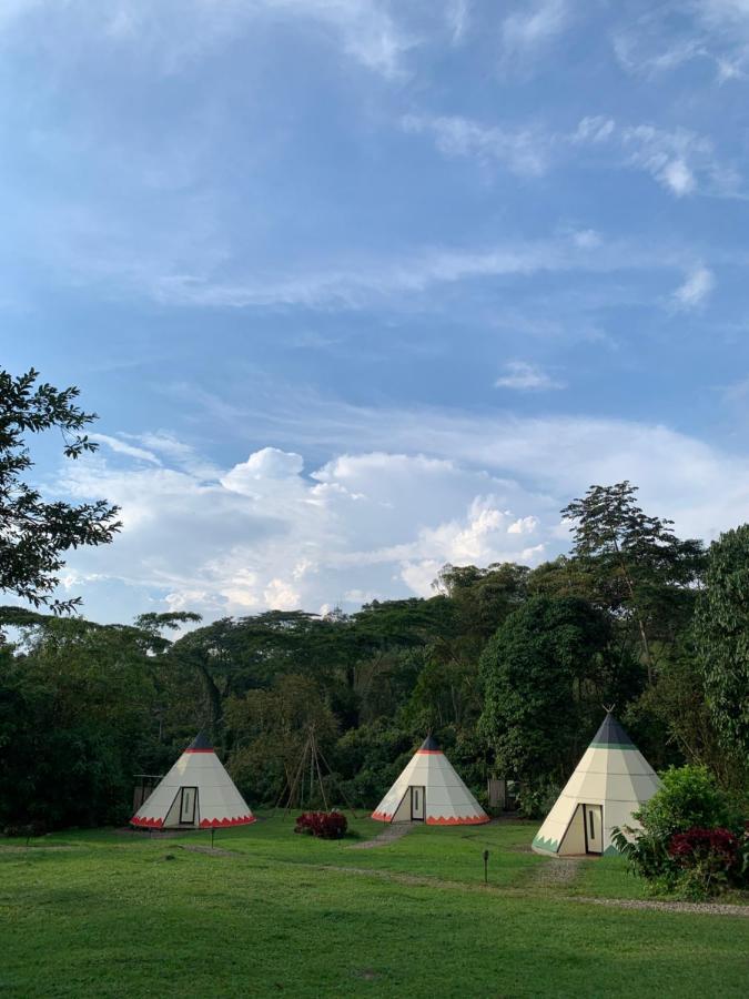 Bosque De Aventura & Glamping Refugio Del Bosque Hotell La Mesa  Eksteriør bilde