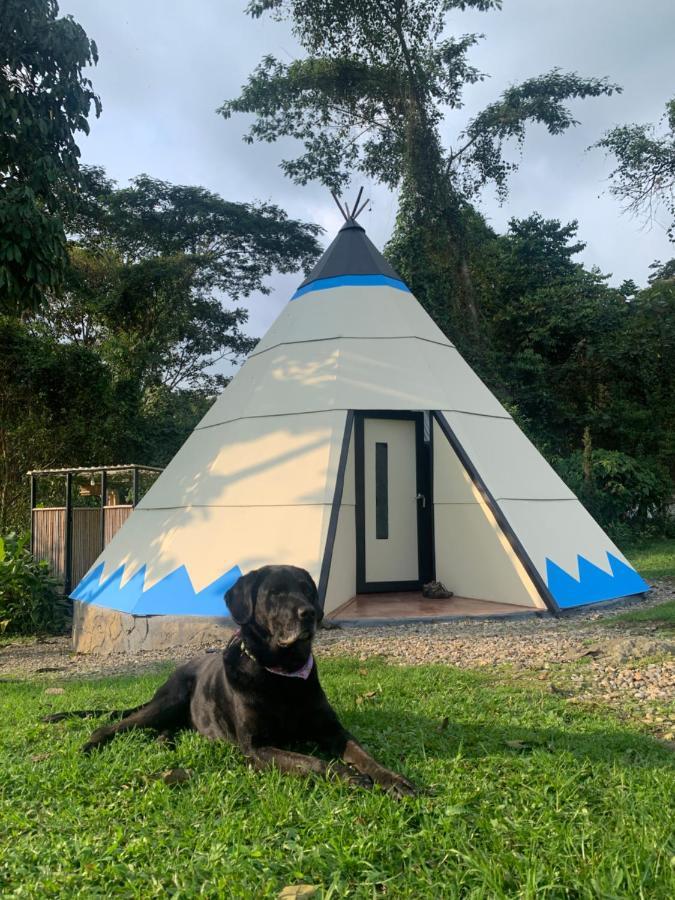Bosque De Aventura & Glamping Refugio Del Bosque Hotell La Mesa  Eksteriør bilde