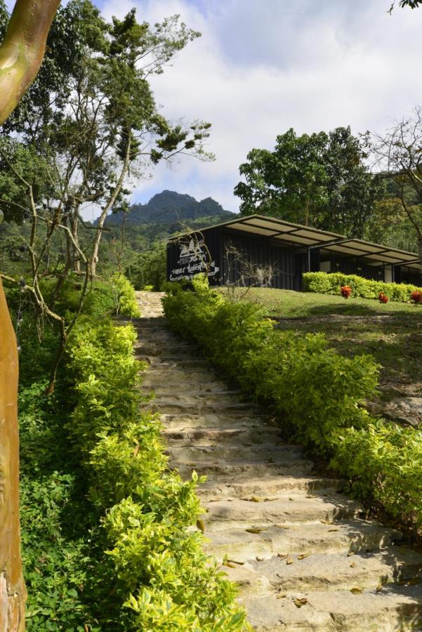 Bosque De Aventura & Glamping Refugio Del Bosque Hotell La Mesa  Eksteriør bilde